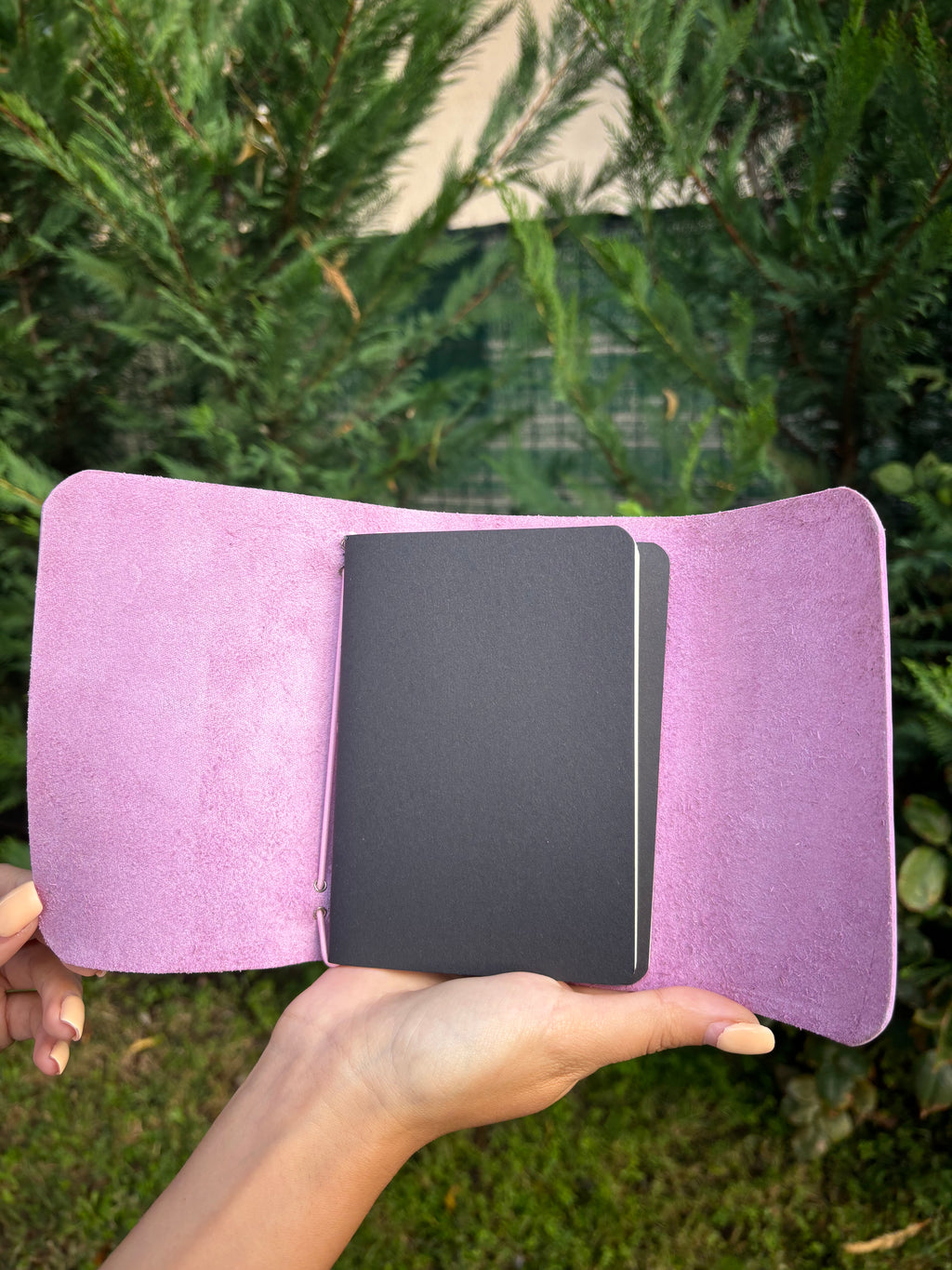 Amara A6 - Jurnal de călătorie
