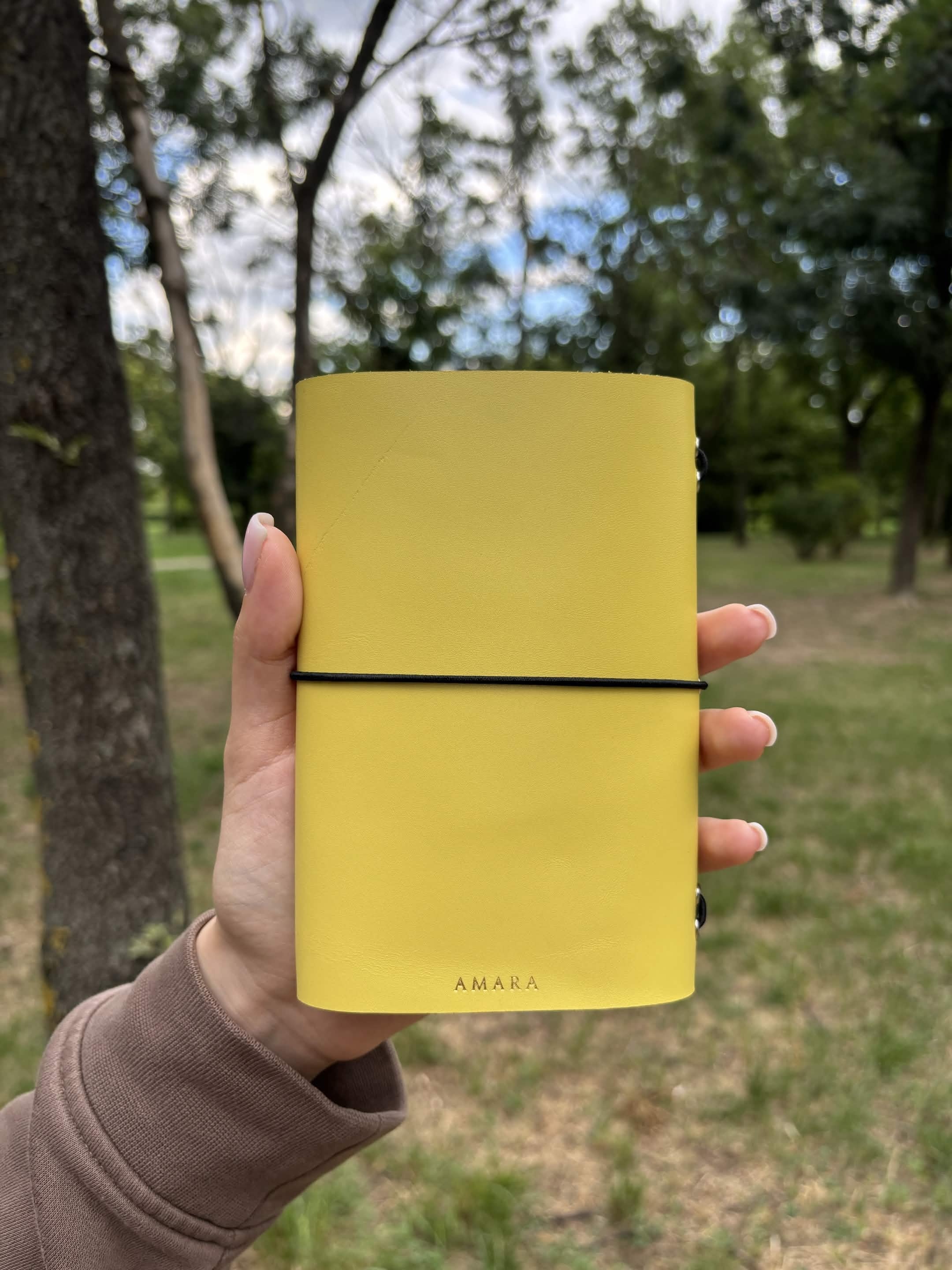 Amara A6 - Jurnal de călătorie
