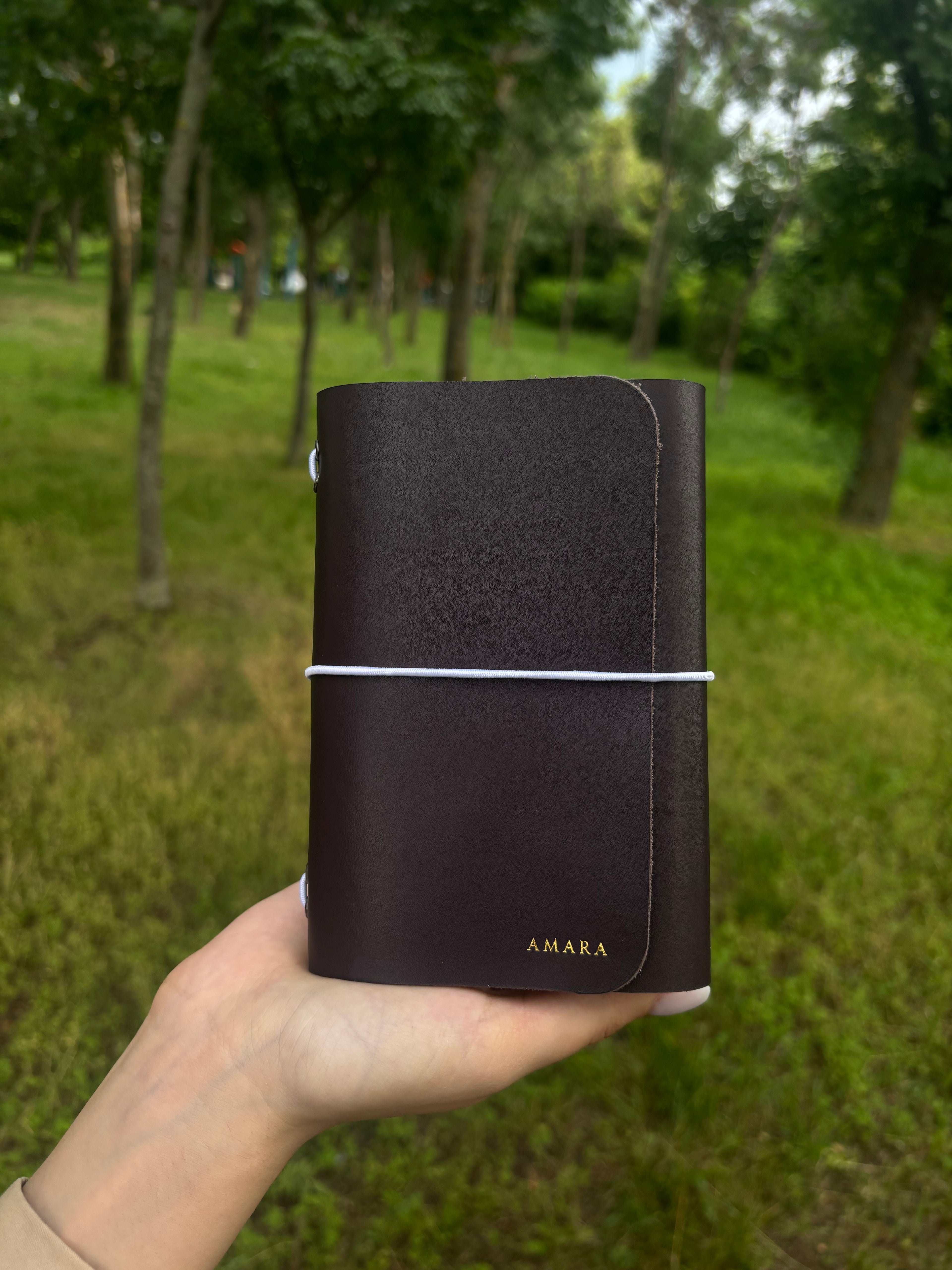 Amara A6 - Jurnal de călătorie