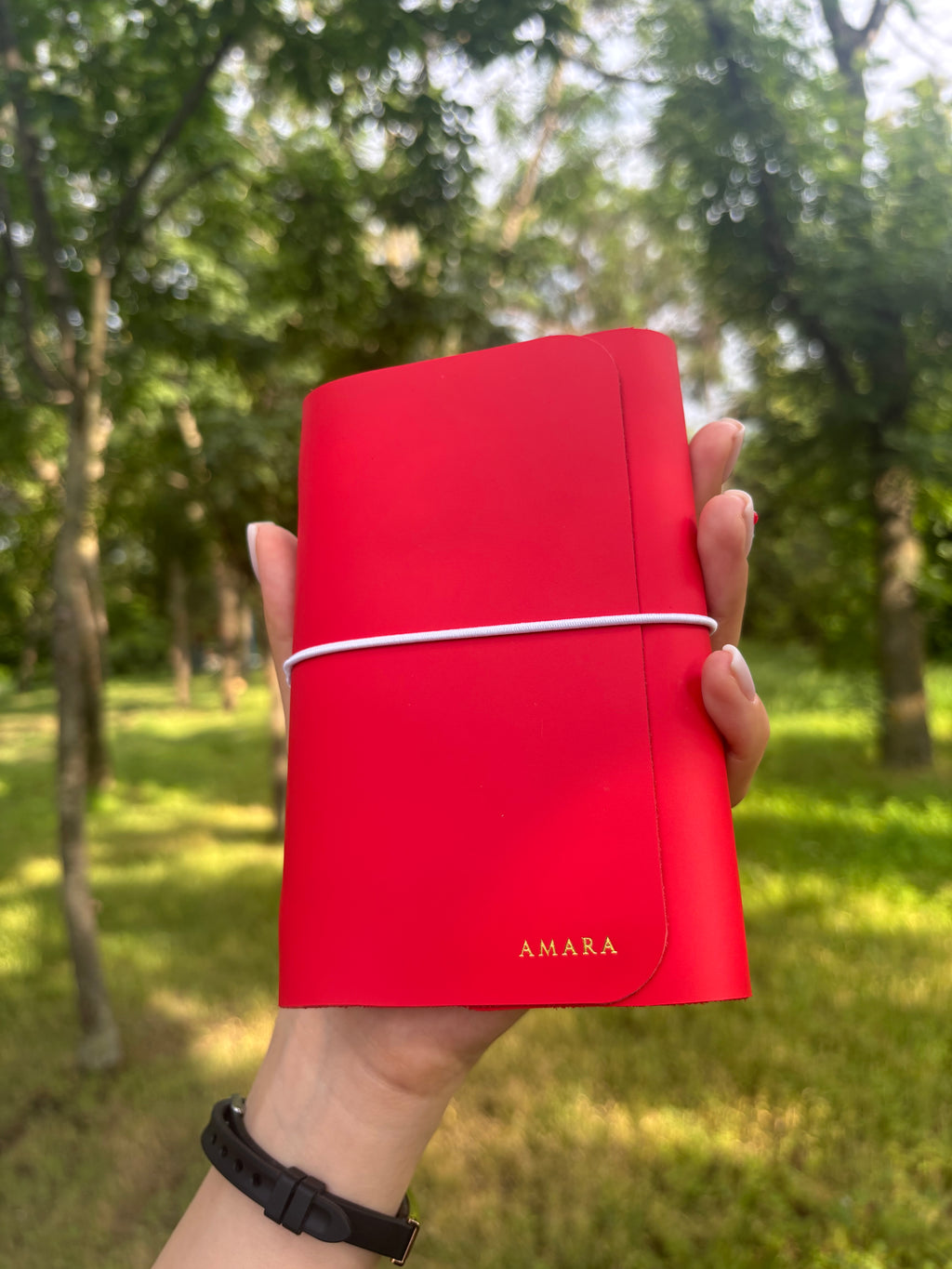 Amara A6 - Jurnal de călătorie