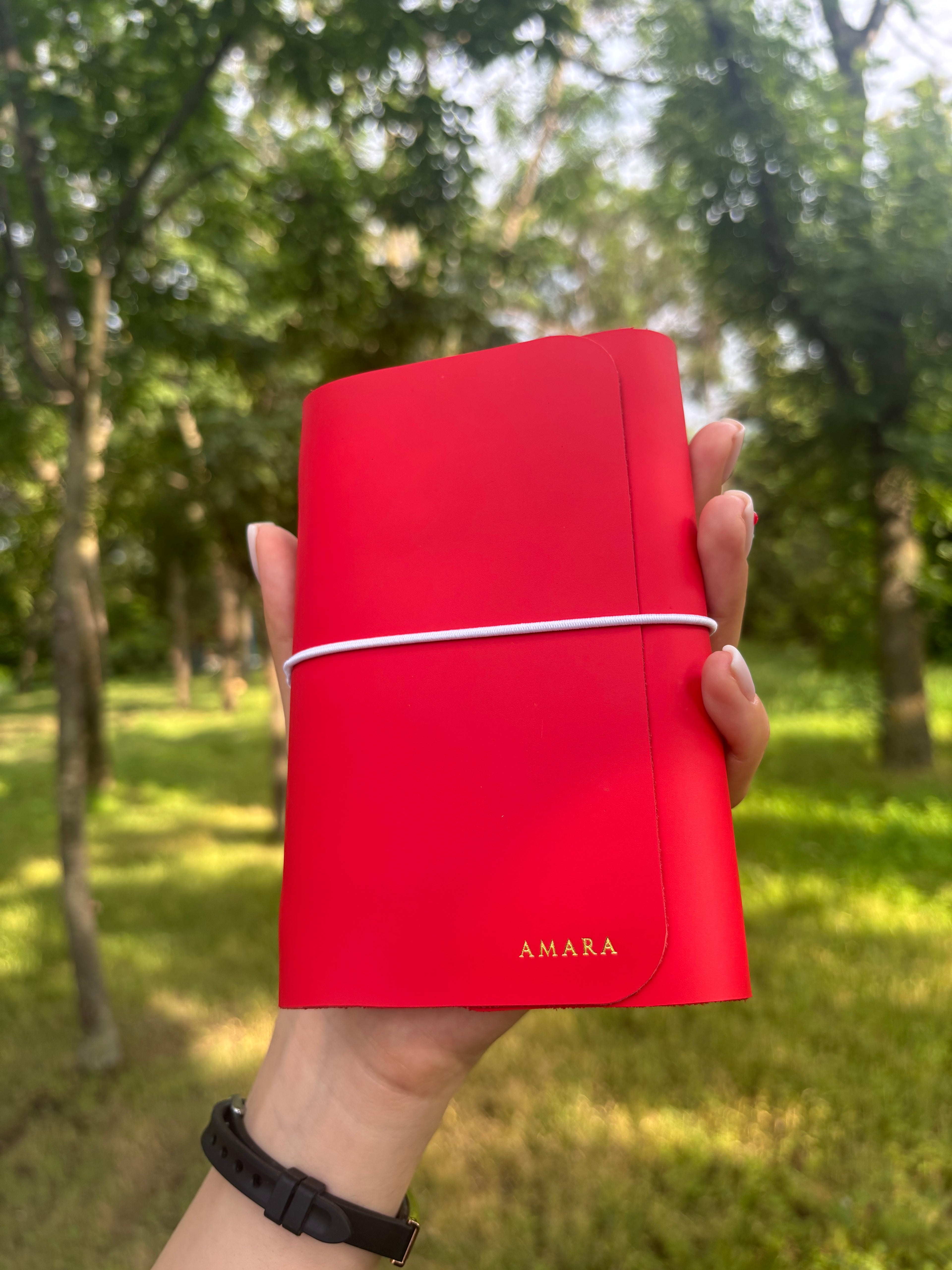 Amara A6 - Jurnal de călătorie