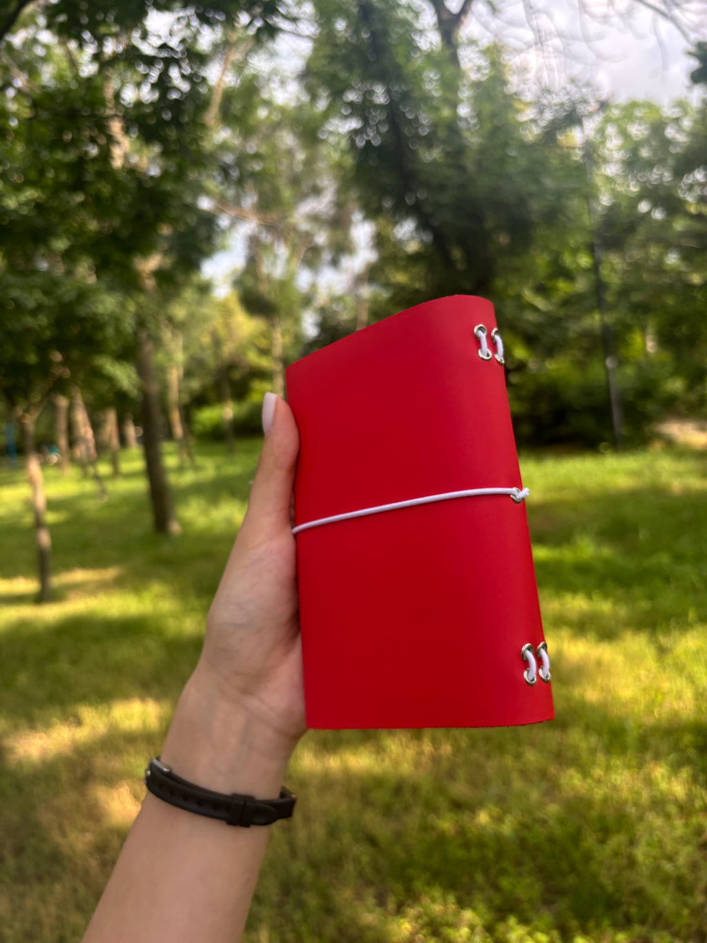 Amara A6 - Jurnal de călătorie