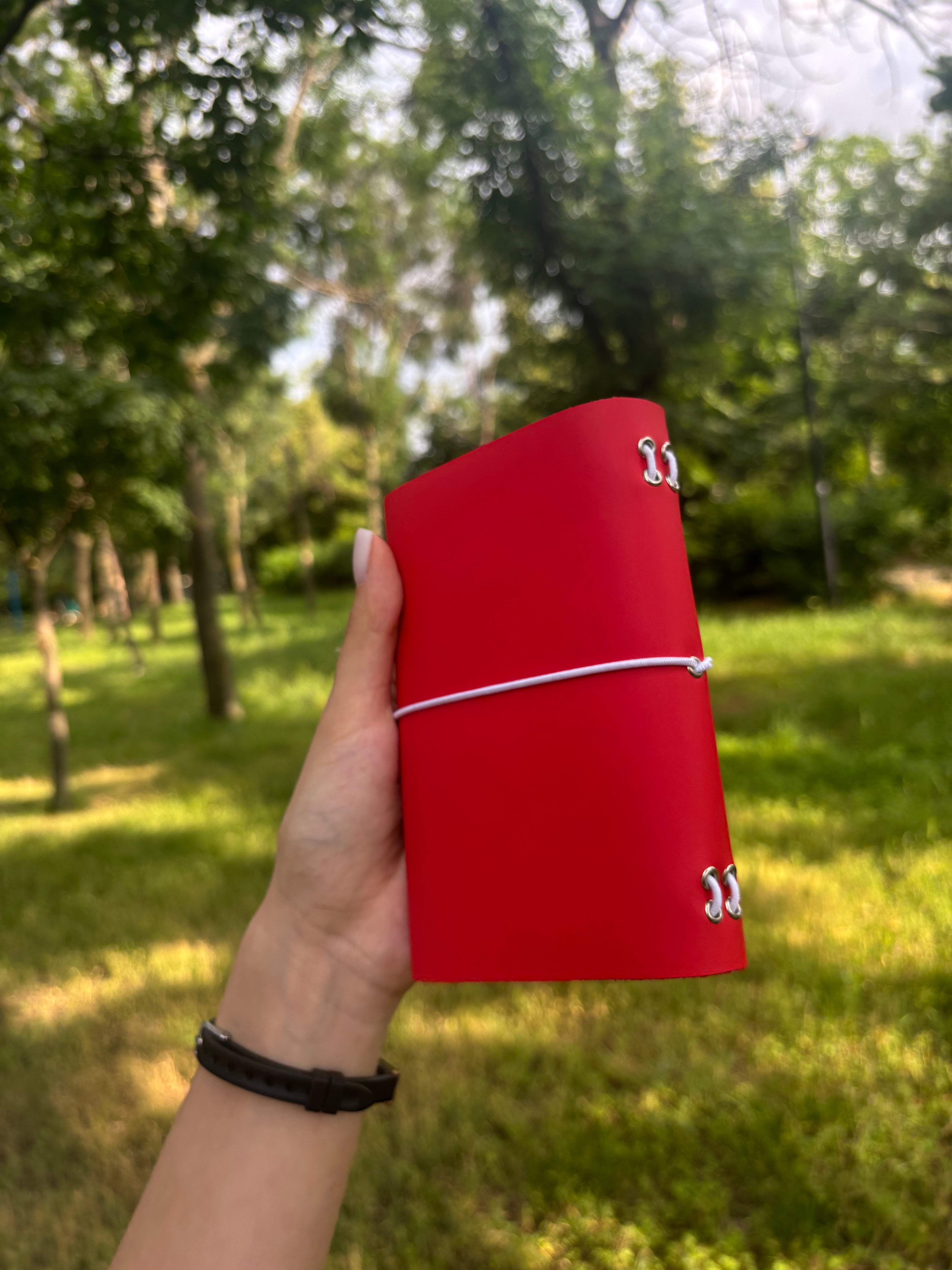 Amara A6 - Jurnal de călătorie