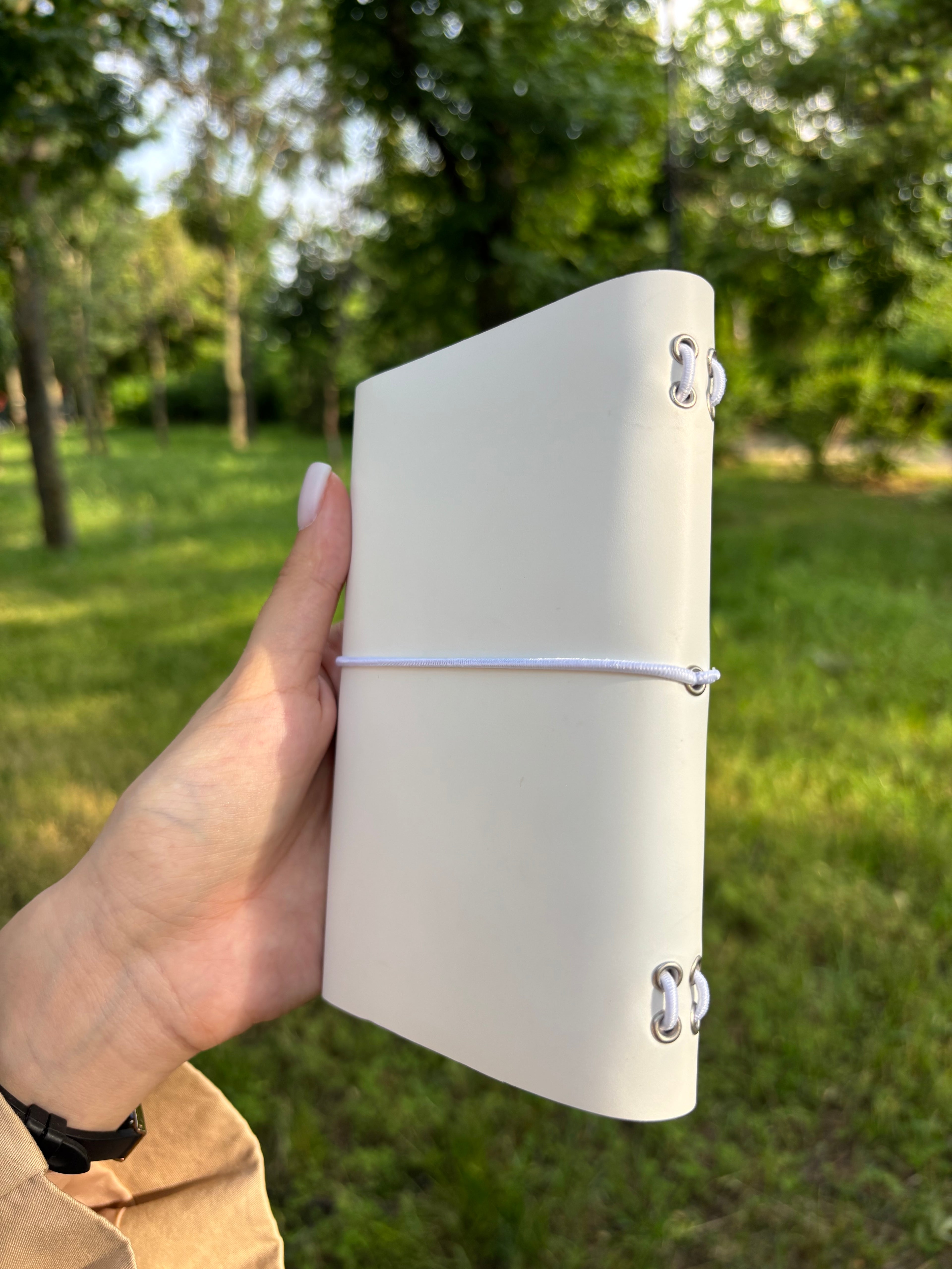 Amara A6 - Jurnal de călătorie