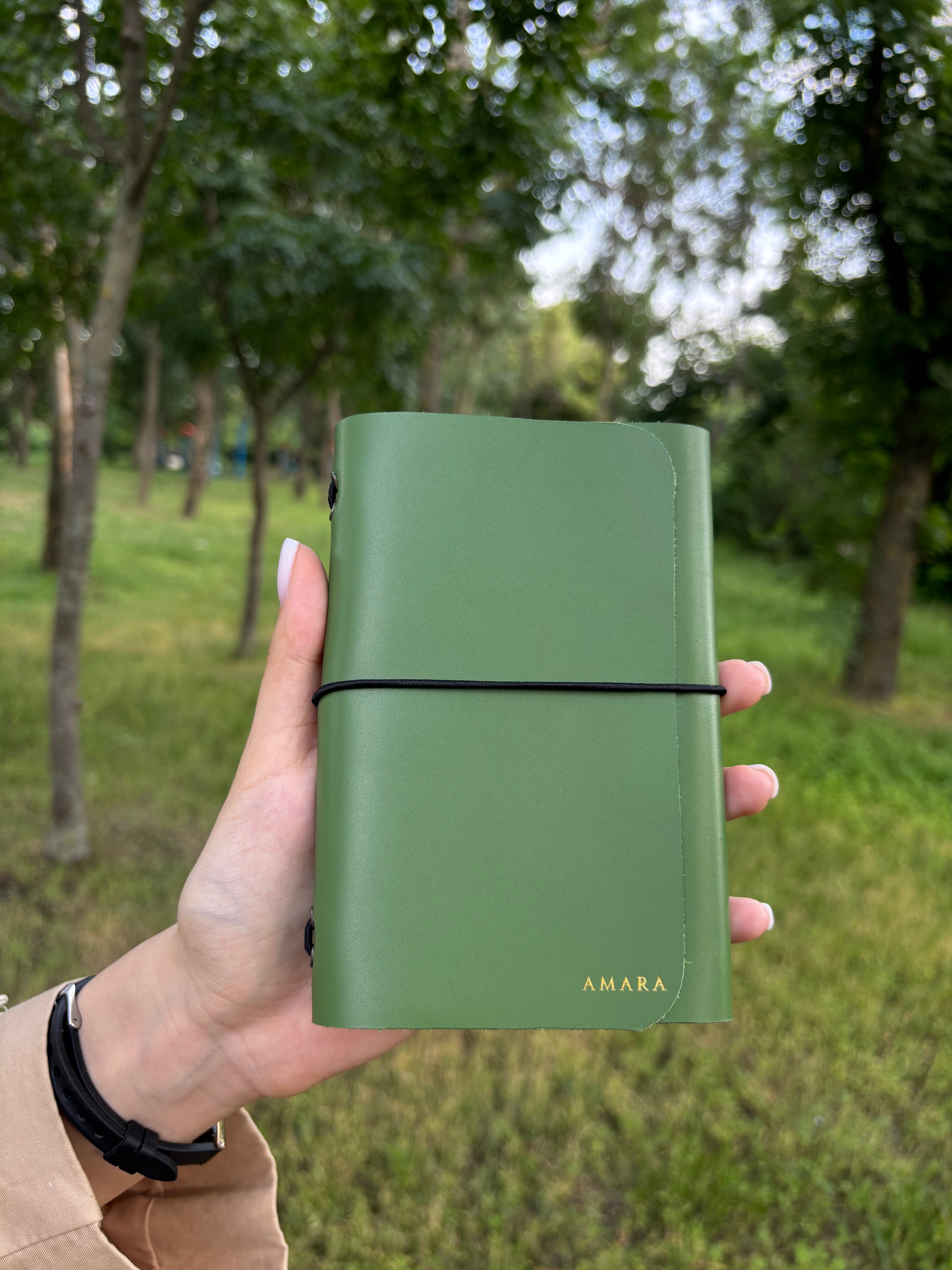 Amara A6 - Jurnal de călătorie