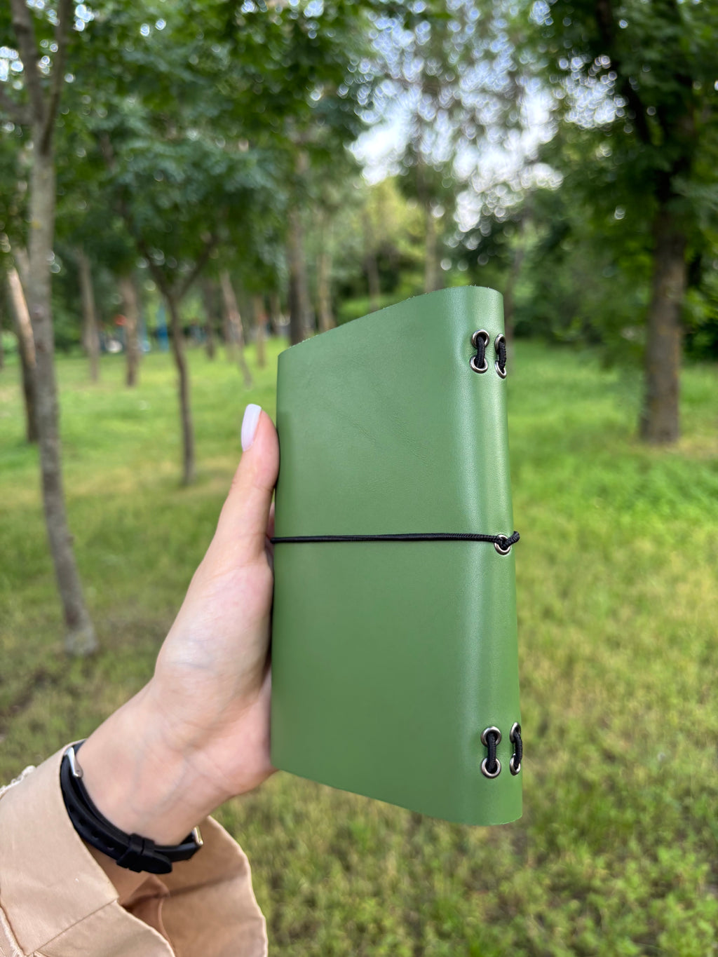 Amara A6 - Jurnal de călătorie